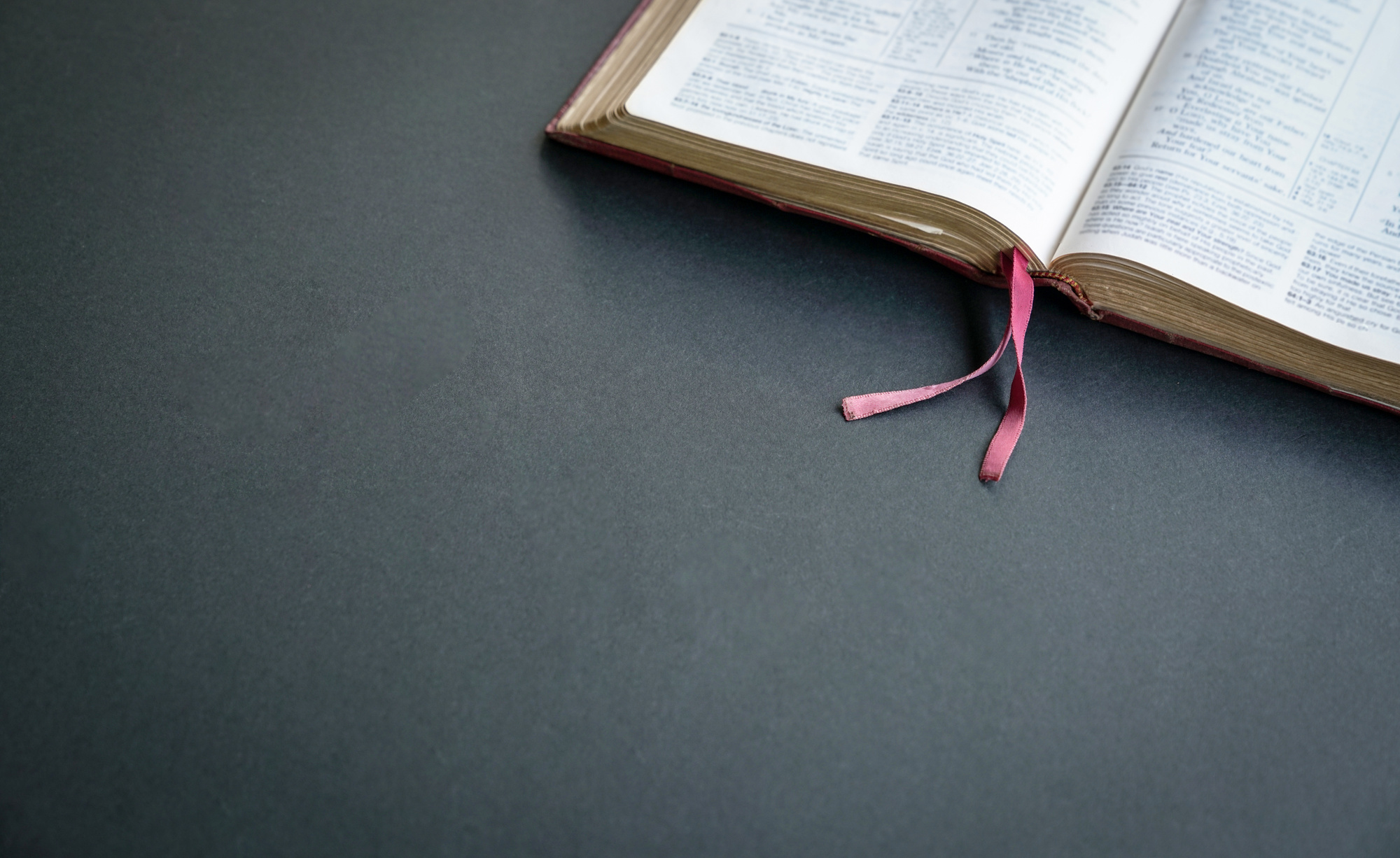 Top view of open Holy Bible
